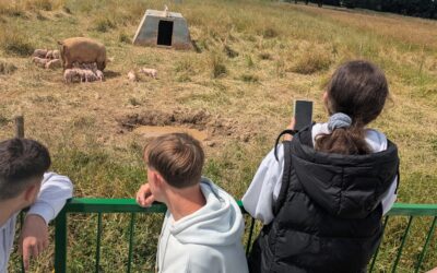WP NW zu Gast auf dem Biolandhof