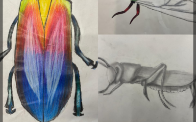 naturalistisches Zeichnen