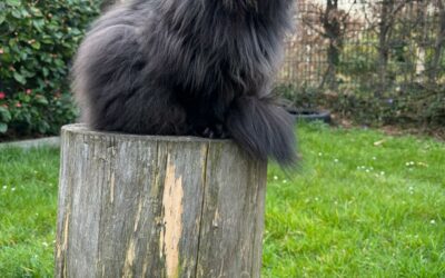 Neues von unserer kleinen Queen