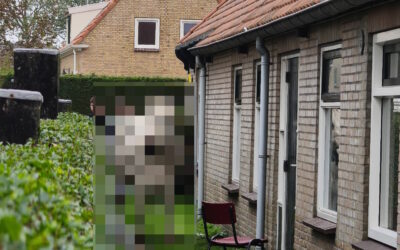 Klassenfahrt – überraschender Besuch